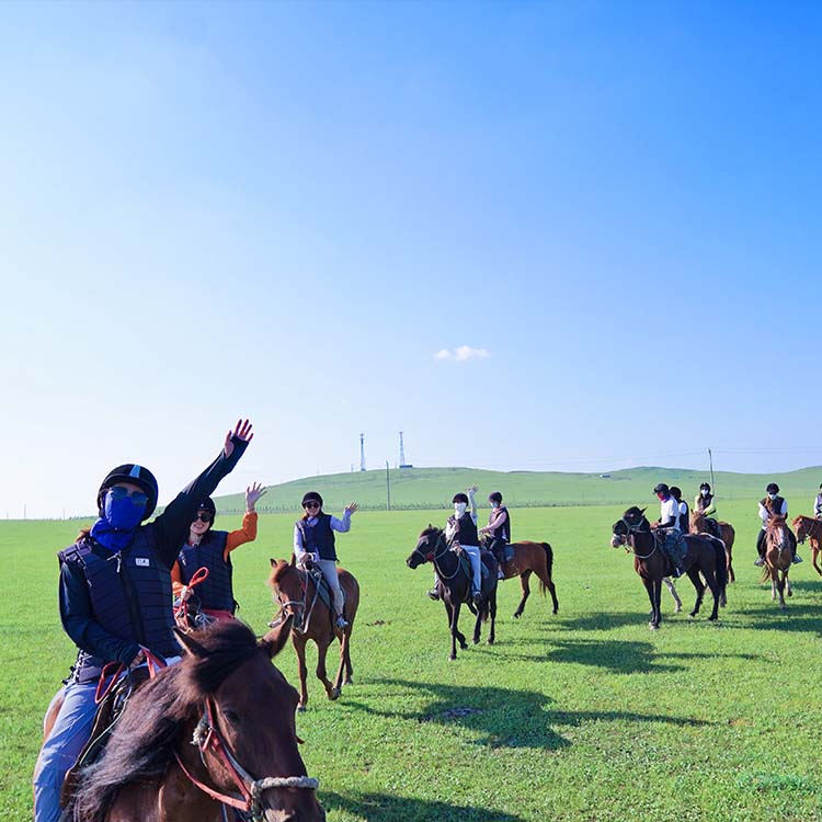 Reittraining Case